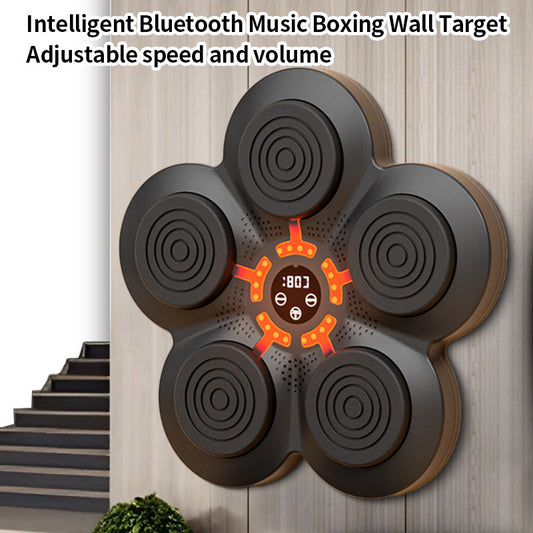 Wall Target Fitness Equipment